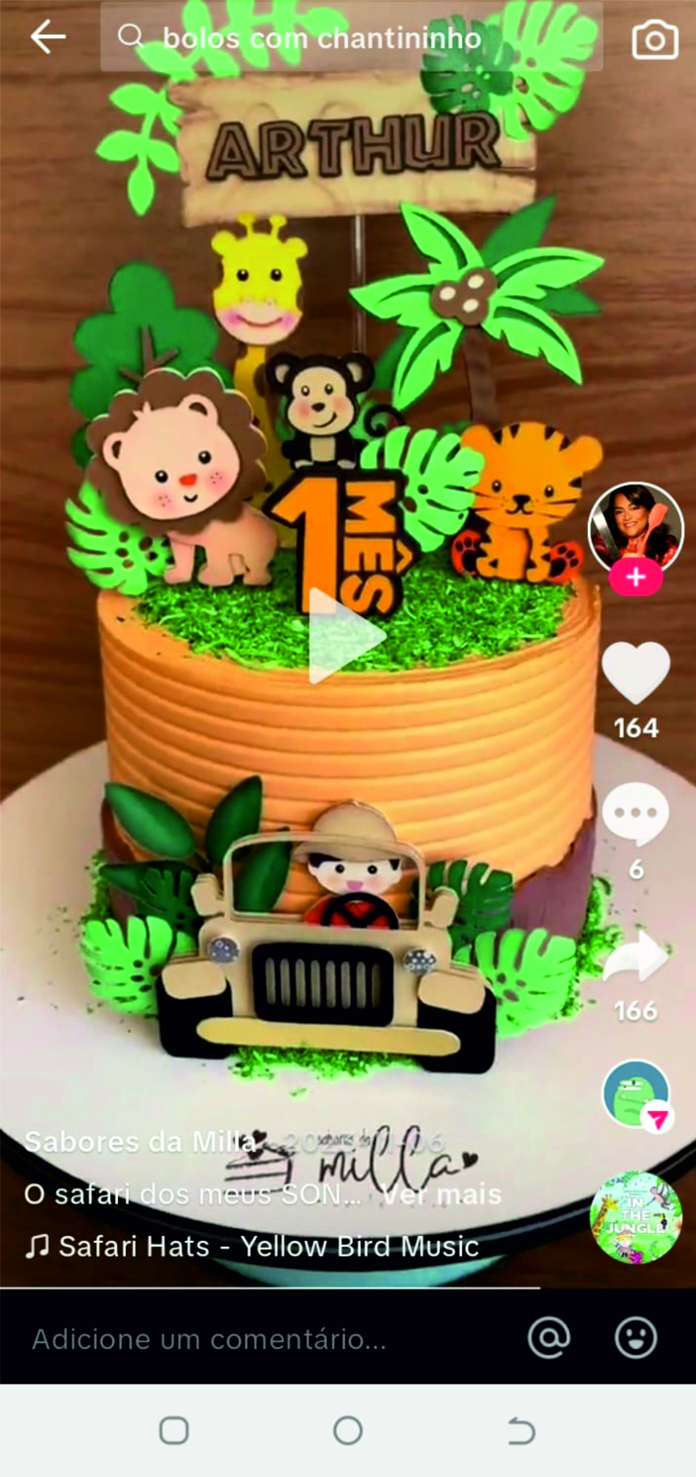 Inspiração SAFARI B
