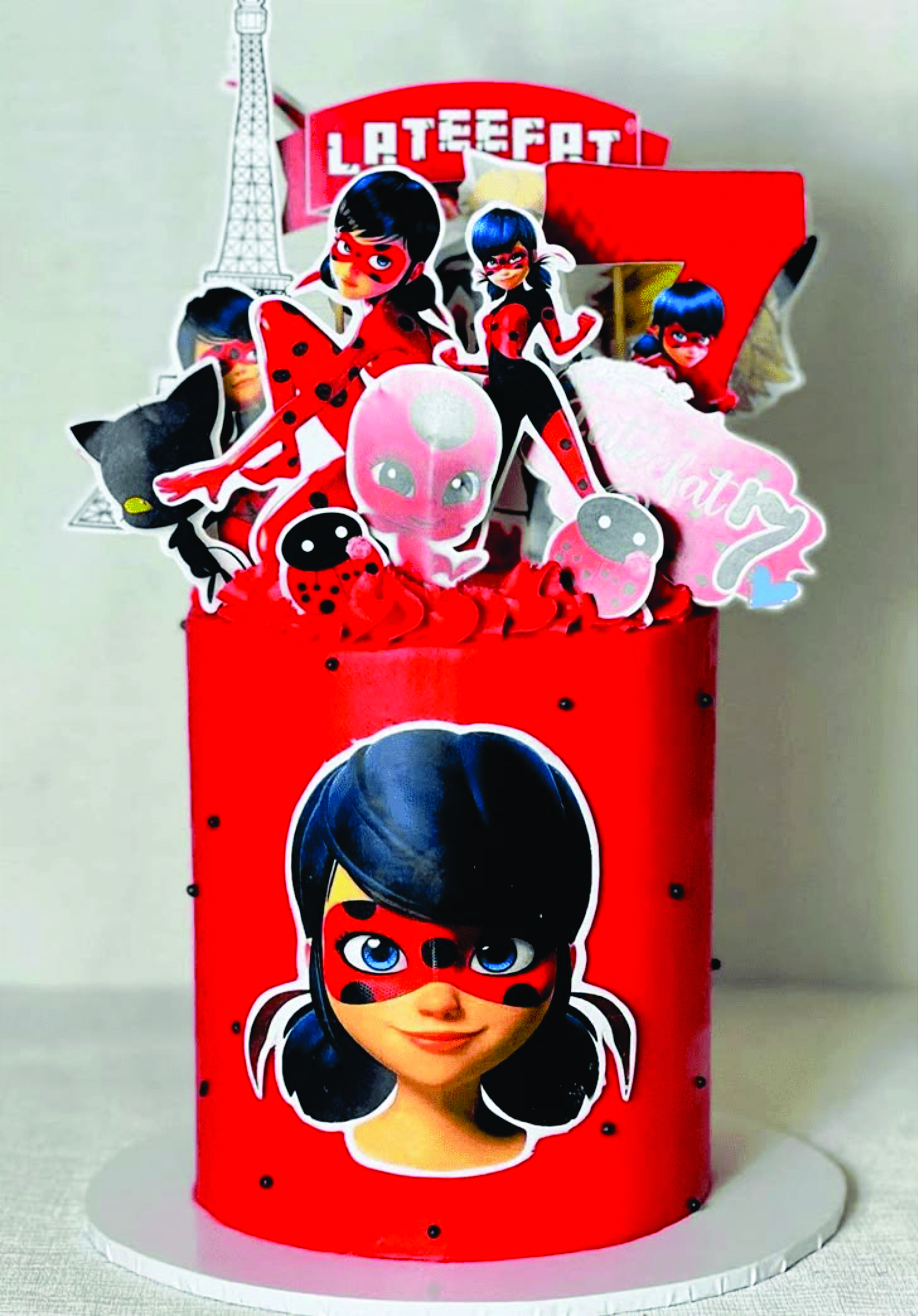 Inspiração lady bug B
